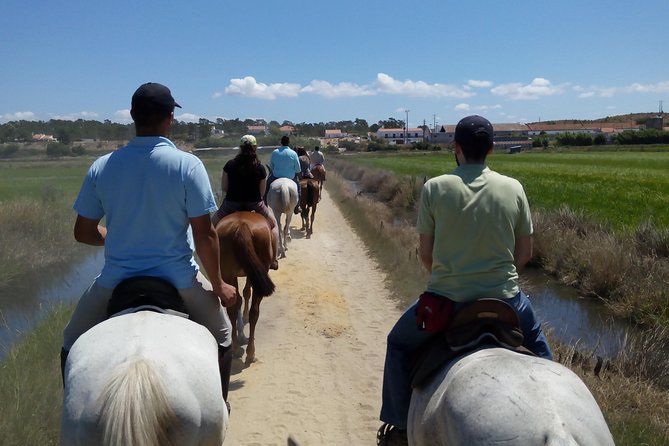 Horse Riding Tour on the Beach Lisbon region - A Horse Tour That’s Actually Beginner-Friendly