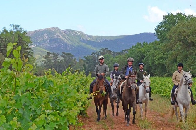 Horseback Riding, 4 Options-Mountain, Lesson Ring, Beach (2Hours) - From Lisbon to Costa da Caparica: How the 2-Hour Format Feels
