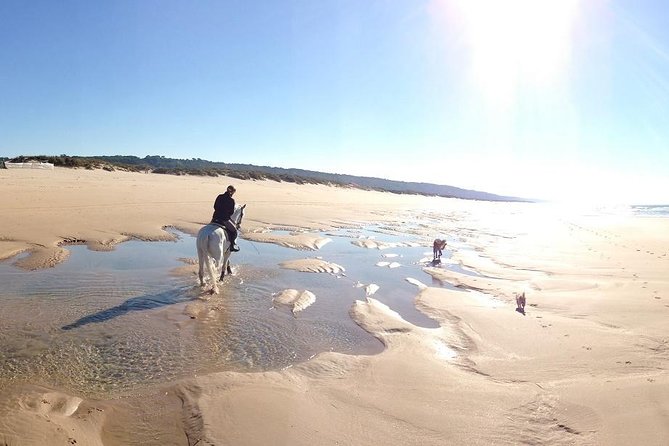Horseback Riding, 4 Options-Mountain, Lesson Ring, Beach (2Hours) - Pine Forest Trails and Beach Access: Where the Time Actually Goes