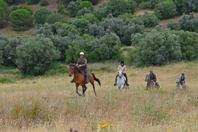 Horseback Riding, 4 Options-Mountain, Lesson Ring, Beach (2Hours) - Horses, Helmets, and Natural Horsemanship That Feels Grounded