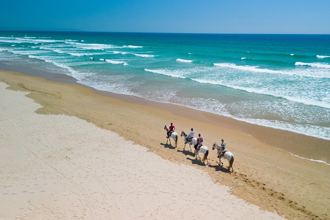 Horseback Riding, 4 Options-Mountain, Lesson Ring, Beach (2Hours) - What to Wear and Bring: Your Ride Starts Before You Mount