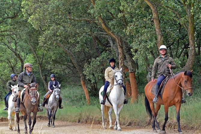 Horseback Riding, 4 Options-Mountain, Lesson Ring, Beach (2Hours) - The Human Touch: Guides Like Carlos, Antonio, and João