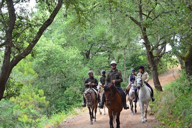 Horseback Riding, 4 Options-Mountain, Lesson Ring, Beach (2Hours) - Price and Value: Is $154.76 a Good Deal?