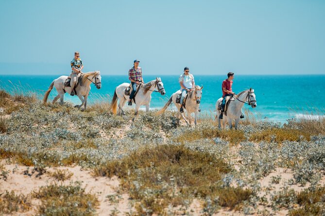 Horseback Riding, 4 Options-Mountain, Lesson Ring, Beach (2Hours) - What About Food and the Best Sea-View Meal After?