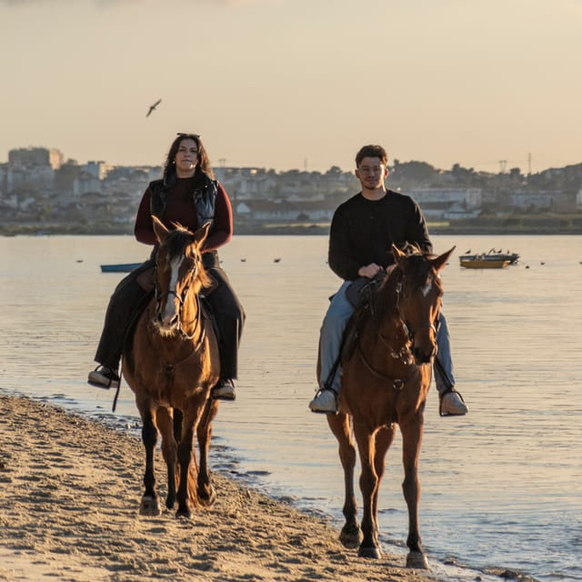 Horseback Riding On The Beach At Sunset - Key Details Worth Knowing Before You Go