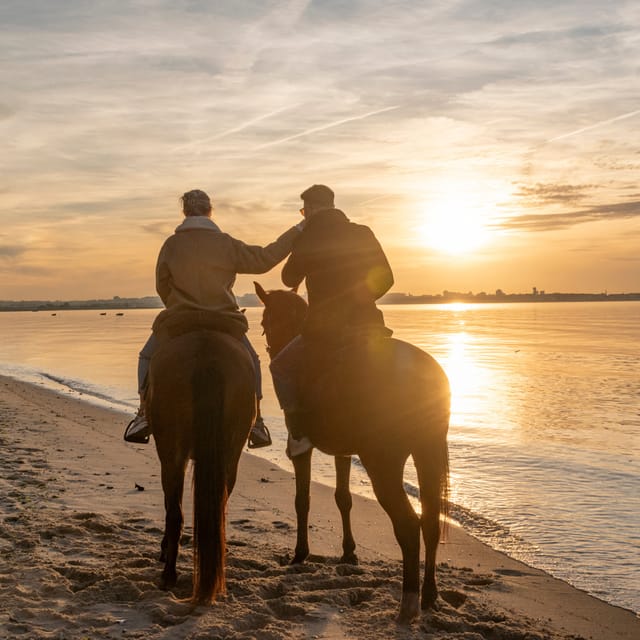 Horseback Riding On The Beach At Sunset - Tagus River Beach Sunset: What the Ride Feels Like