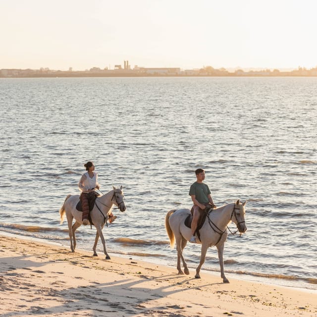 Horseback Riding On The Beach At Sunset - Calm Horses and the Beginner Skills That Actually Help