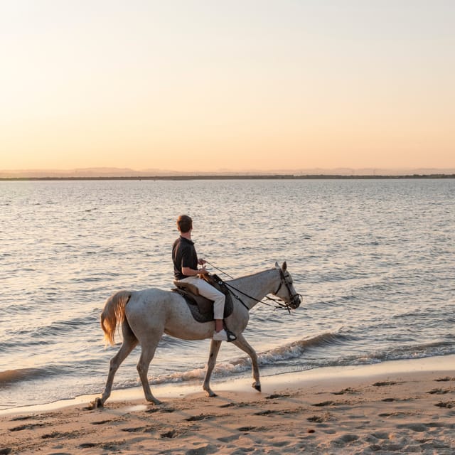 Horseback Riding On The Beach At Sunset - Timing with the Tide: Why 1.5 Hours Can Feel Perfect