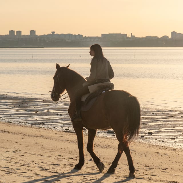 Horseback Riding On The Beach At Sunset - Practical Tips So Your Ride Goes Smoothly