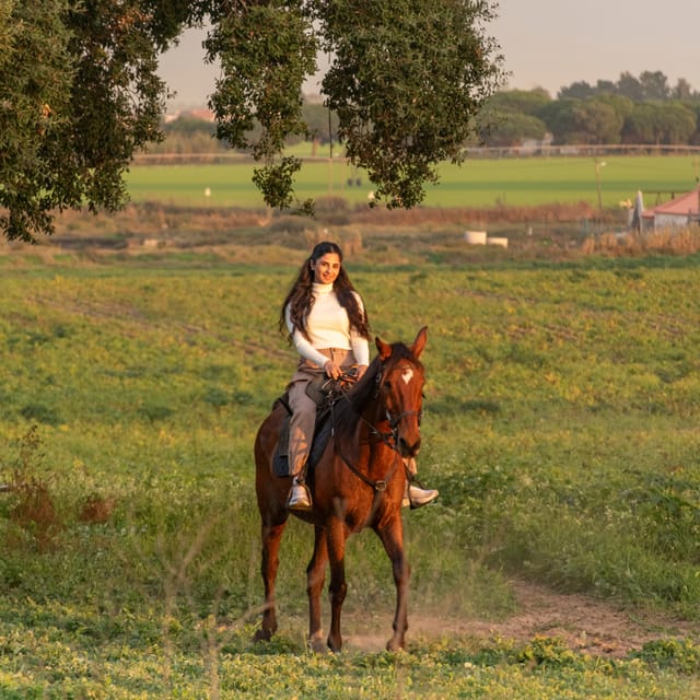 Horseback Riding On The Beach At Sunset - Should You Book This Tagus Beach Horse Ride?