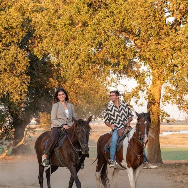 Horseback Riding On The Beach At Sunset - Getting Started at Pátio do Tejo and the Quick Arena Briefing
