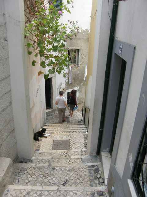 Lisbon: Alfama and São Jorge Castle Quarters Walking Tour - Casa dos Bicos to Campo das Cebolas: finding your guide and setting the tone