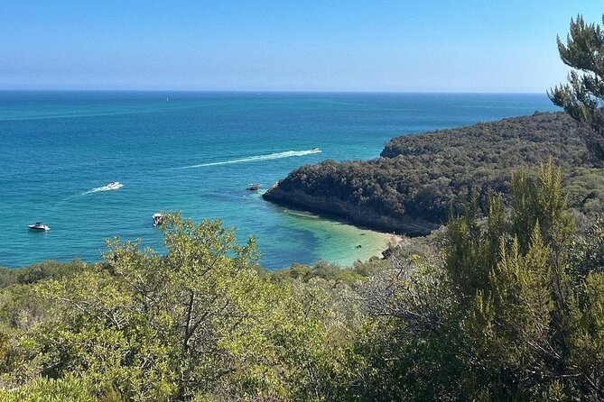 Lisbon : Arrábida and Sesimbra c/ Castelo Palmela and wine tasting - Guides and group size: what the reviews teach you to expect