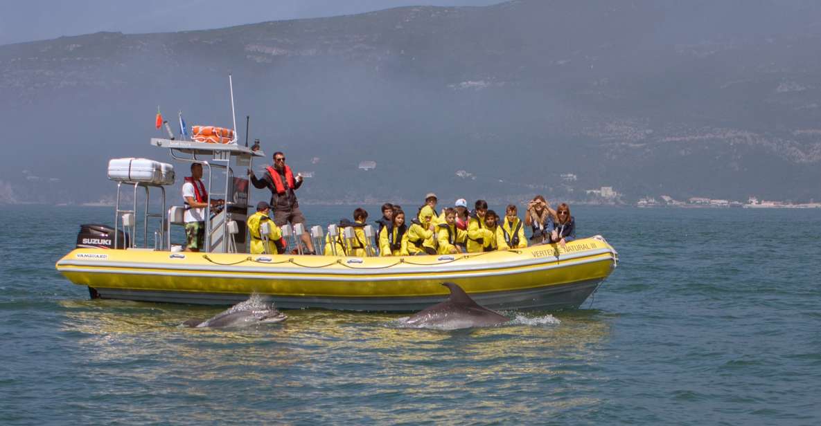 Lisbon: Arrábida Natural Park Dolphin Watching Boat Tour - The semi-inflatable ride: comfort, wind, and sea-sickness prep