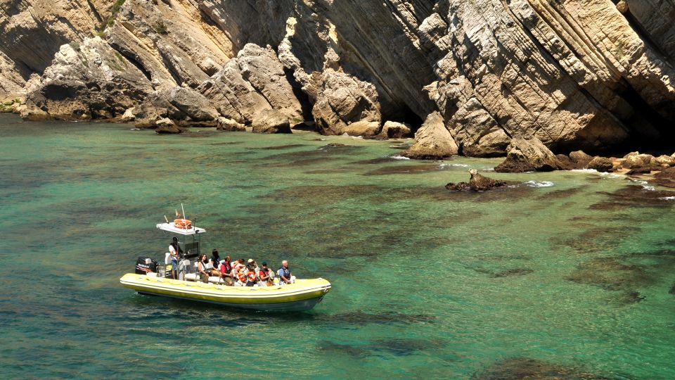 Lisbon: Arrábida Natural Park Dolphin Watching Boat Tour - Who should book this Arrábida dolphin tour (and who should rethink)