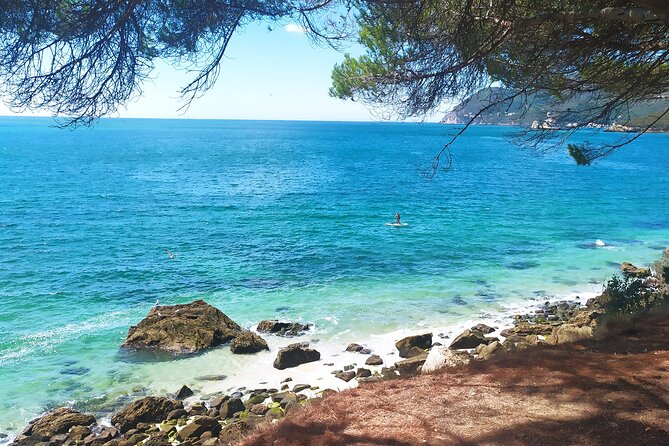 Lisbon: Arrábida Park, Sesimbra, Christ the King private tour - Price and value: what $143.91 buys you