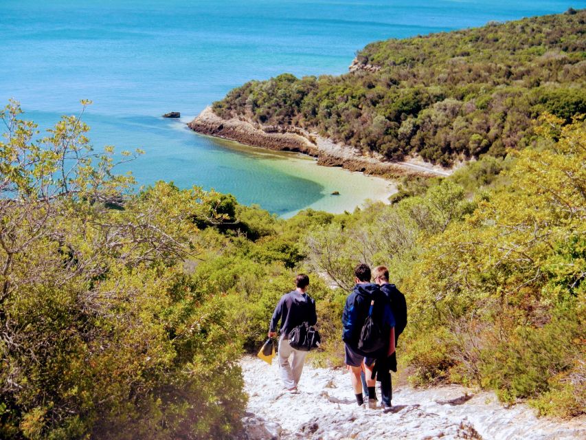 Lisbon: Arrábida Snorkeling Adventure - Key things that make this trip worth your time