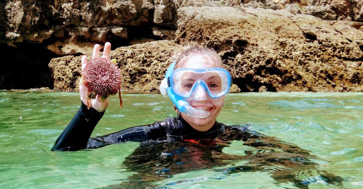 Lisbon: Arrábida Snorkeling Adventure - Getting there: Lisbon Zoo to Arrábida without the headache
