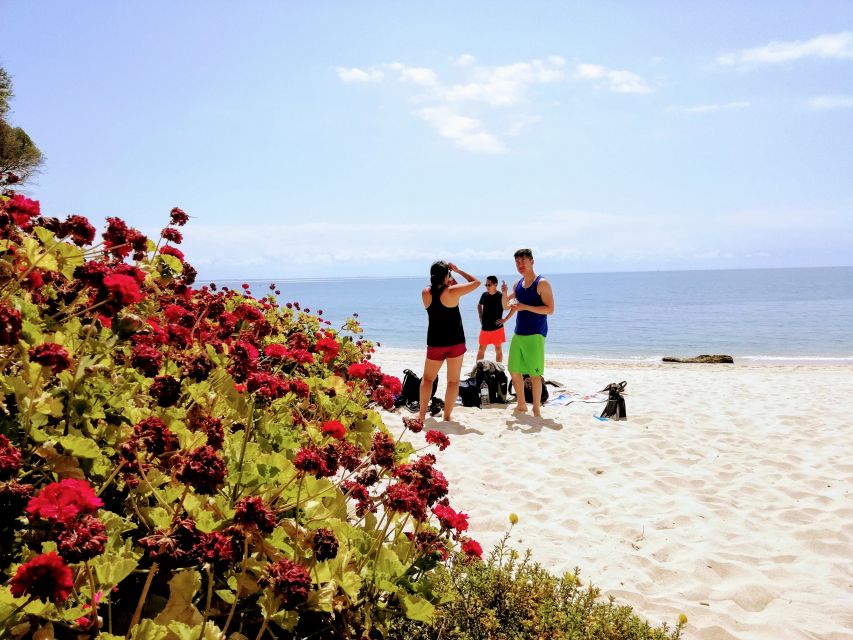 Lisbon: Arrábida Snorkeling Adventure - When sea conditions change: don’t let weather ruin the day