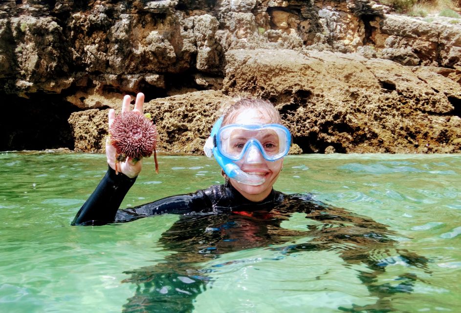 Lisbon: Arrábida Snorkeling Adventure - Fossil cliffs and coastal views: what you’re really paying for on land