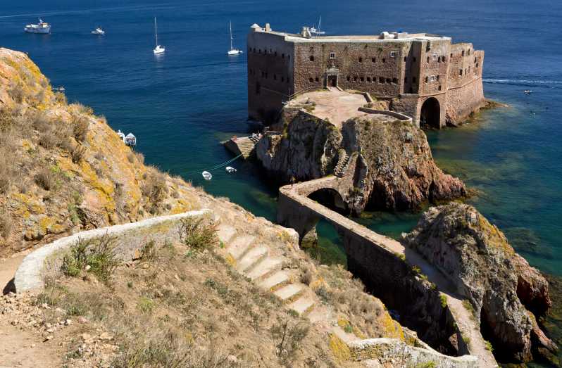 Lisbon: Berlenga Island Full Day Tour - Lisbon to Peniche: Meeting Point, Drive Time, and What to Bring