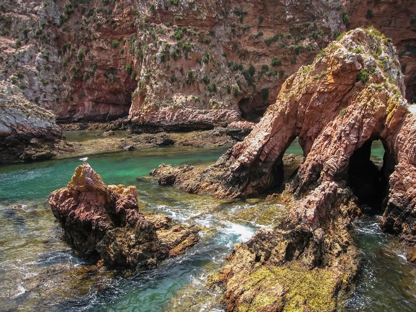 Lisbon: Berlenga Island Full Day Tour - Nature Reserve Walk: How the Berlengas Reserve Fits Into a One-Hour Stroll