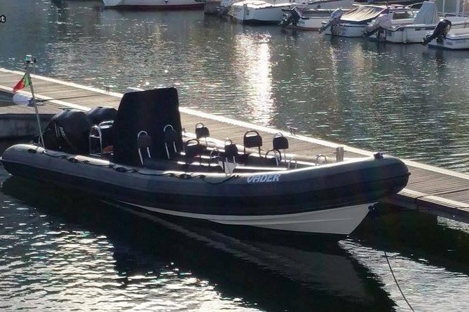 Lisbon : Birdwatching Boat Tour - Tagus Estuary - The Real Star: Birdwatching Boat Time in the Tagus Estuary