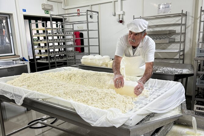 Lisbon Cheese Factory Visit, Wine Tasting and Tile Painting Tour - Lisbon Beyond the Postcards: Cheese, Tiles, and a Proper View