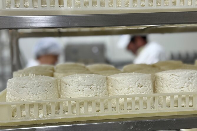 Lisbon Cheese Factory Visit, Wine Tasting and Tile Painting Tour - Alcochete Cheese Factory: Seeing A Traditional Process up Close