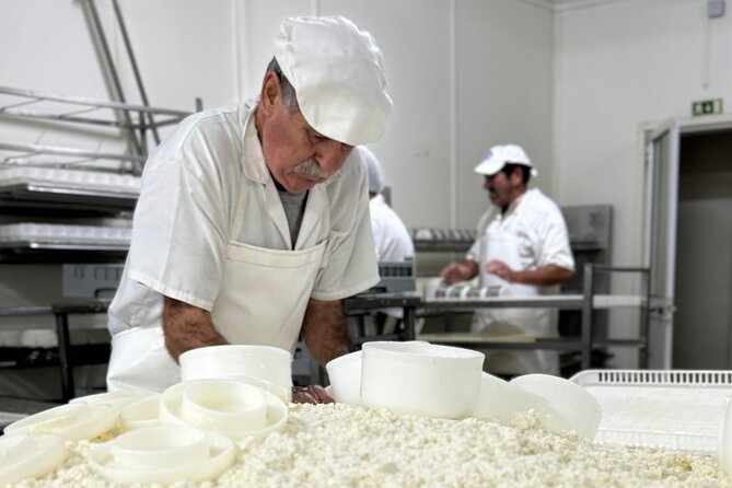 Lisbon Cheese Factory Visit, Wine Tasting and Tile Painting Tour - Seixal Tile Workshop: Paint a Ceramic Tile and Think Like a Maker