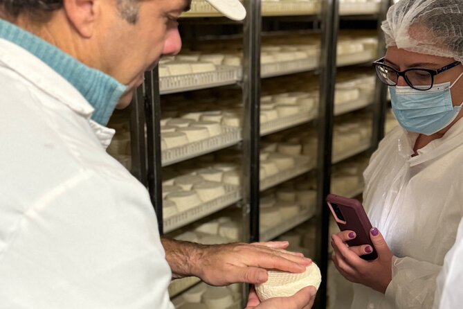 Lisbon Cheese Factory Visit, Wine Tasting and Tile Painting Tour - Winery Time: Four Wines and Four Cheeses Done the Right Way
