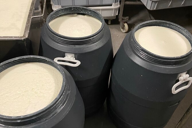 Lisbon Cheese Factory Visit, Wine Tasting and Tile Painting Tour - Start at 8:00 with Pickup: How the Day Actually Feels