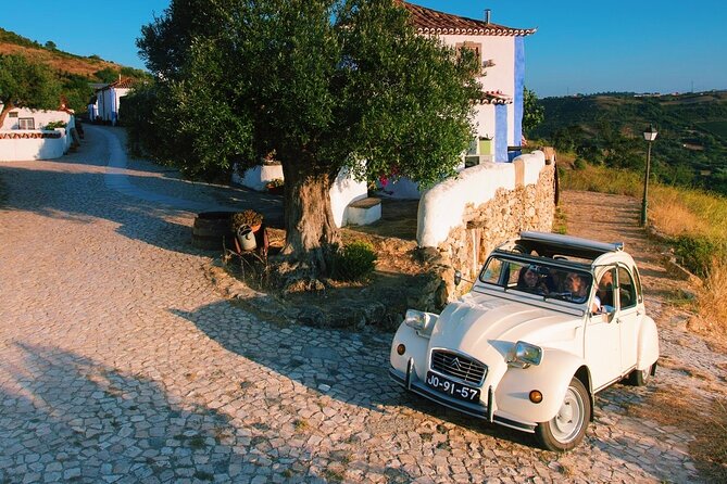 Lisbon Countryside Food Tour on a Vintage Car - The food spread: cod pastries, wine, and the family-farm extras