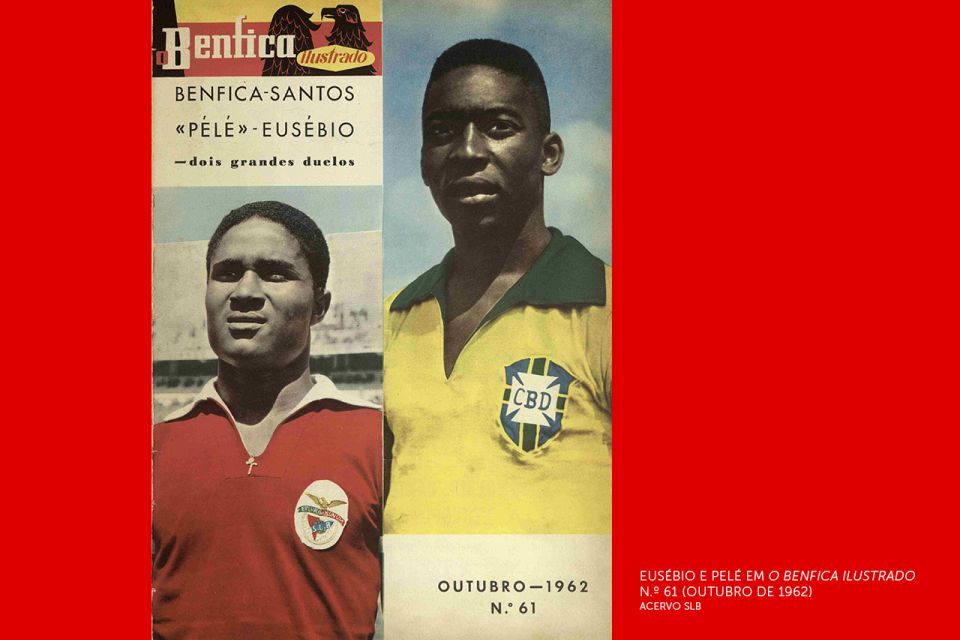 Lisbon: Customized Luz Stadium and Guided Museum Tour - Timing Rules: When You Might Not See the Stadium