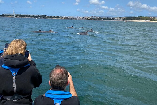 Lisbon: Dolphin Watching with Marine Biologist – Small Group - Where You Start in Lisbon: Terra Incógnita Dock Details