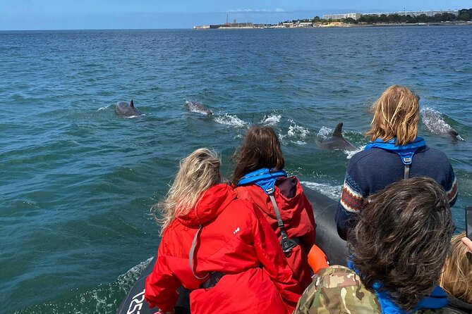 Lisbon: Dolphin Watching with Marine Biologist – Small Group - Who This Cruise Fits Best (and Who Should Think Twice)