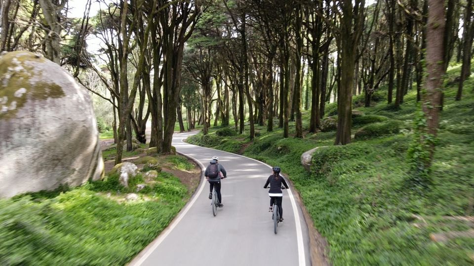 Lisbon: E-bike Trip from the Sintra Mountains to Cascais Sea - Sintra-to-Cascais on Electric Mountain Bikes: What the Day Actually Feels Like