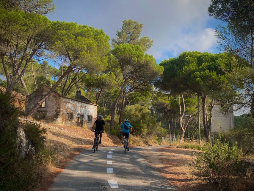 Lisbon: E-bike Trip from the Sintra Mountains to Cascais Sea - Lisbon Pickup to Cascais Market Start: The Smart Way to Begin