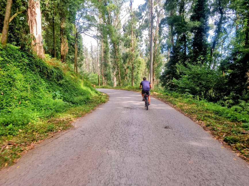 Lisbon: Explore Lisbon’s Green Lung & Belém by E-Bike - Practical tips for your 3.5 hours in Lisbon
