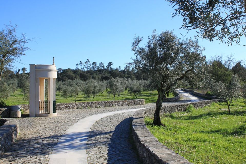 Lisbon Fatima Sanctuary Private Half Day Tour - Key Highlights You’ll Actually Notice