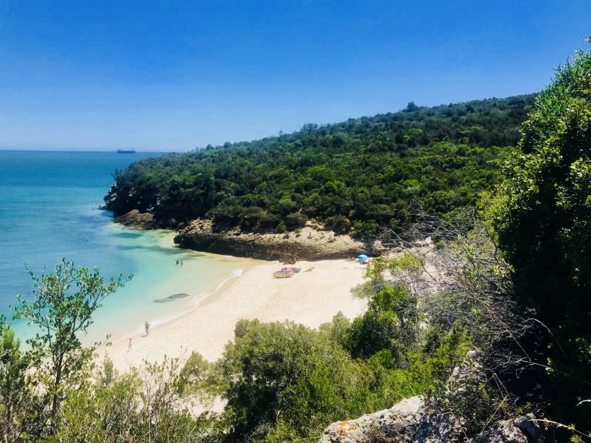 Lisbon: Full-Day Arrabida Kayak Tour with Picnic - Why Arrábida by kayak beats a standard Lisbon day trip