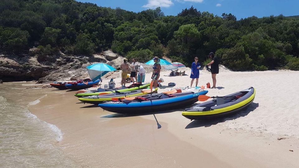 Lisbon: Full-Day Arrabida Kayak Tour with Picnic - Praia dos Coelhos picnic: the mid-day payoff