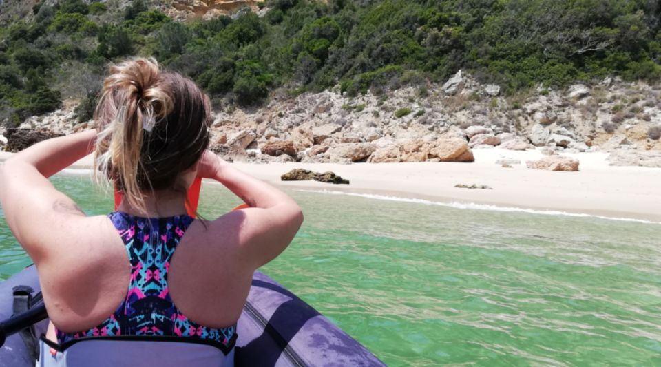 Lisbon: Full-Day Kayak Tour with Picnic and Transfer - The Arrabida Beach Stop: Emerald Water, Cliffs, and That Picnic Reset