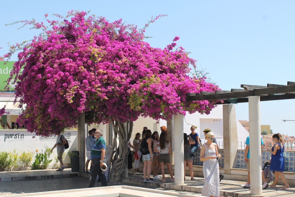 Lisbon: Full-Day Private Walking Sightseeing Tour - Why this Lisbon private walking tour feels different
