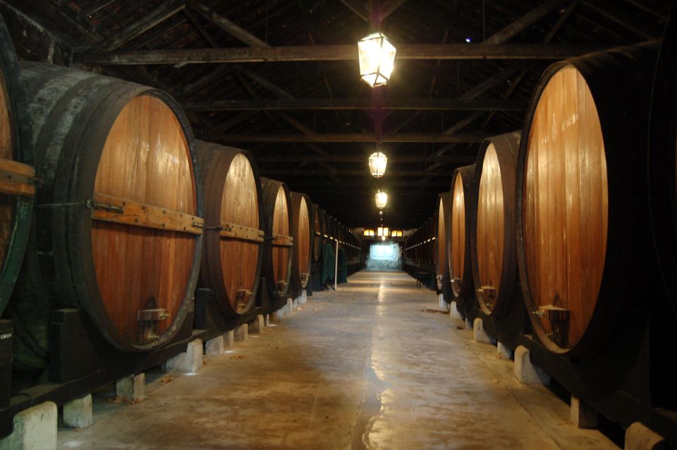 Lisbon Getaway: Private Arrábida Wine & Food Tour - José Maria da Fonseca: the classic heart of Setúbal wine