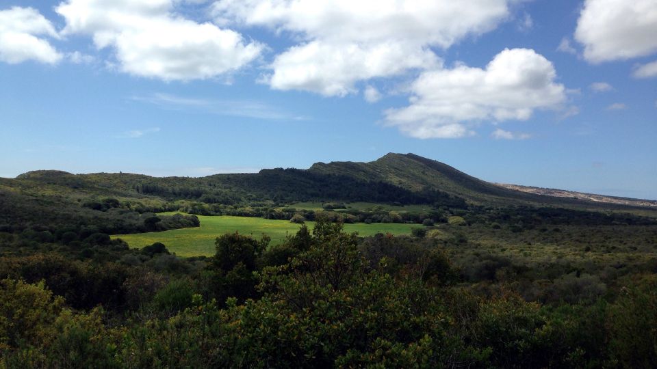 Lisbon: Hiking in Arrábida Natural Park - Why Arrábida Natural Park feels like Lisbon’s best escape