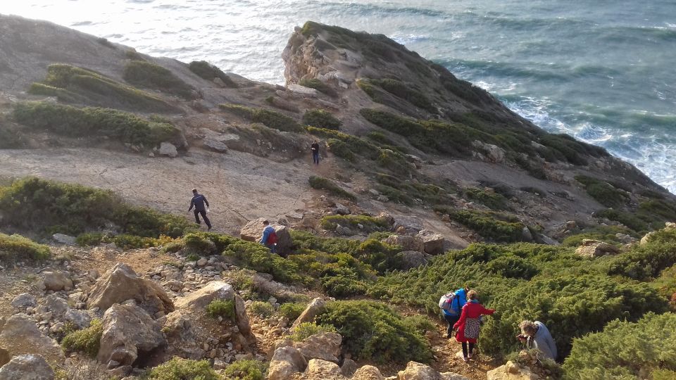 Lisbon: Hiking in Arrábida Natural Park - What’s included, what’s not, and how to plan your food and comfort