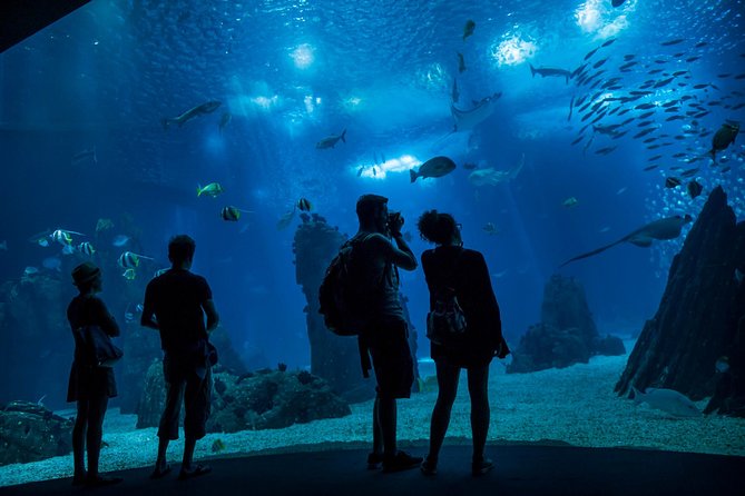 Lisbon Hop-On Hop-Off Bus and Boat Tour with Oceanário Ticket - Key highlights worth betting on