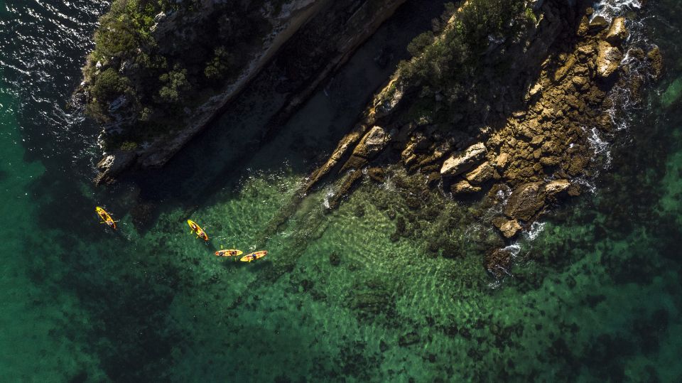 Lisbon: Kayak Tour Arrábida Natural Park, Setubal, Sesimbra - What You’ll See: Beaches, Bays, Caves, and Marine Life