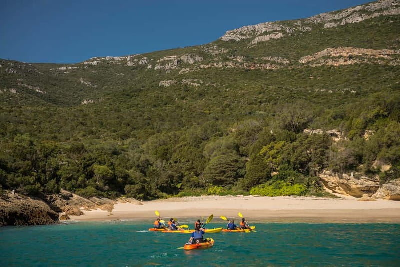 Lisbon: Kayak Tour Arrábida Natural Park, Setubal, Sesimbra - Should You Book This Kayak Tour in Arrábida?